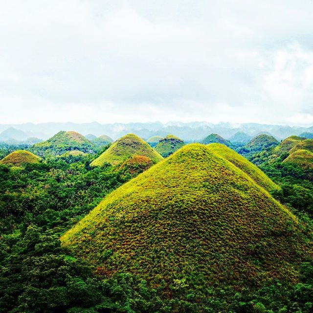 Bohol's Chocolate Hills: Tourist Destination: Philippines